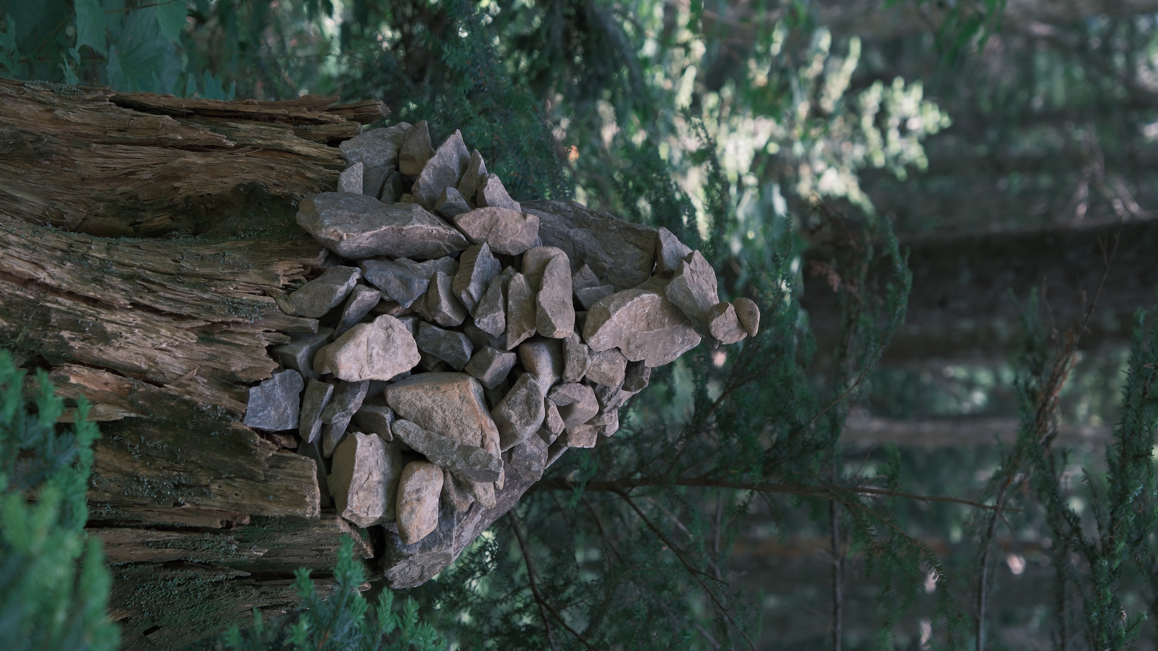 ポートフォリオのメインイメージ